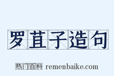 罗苴子造句是什么意思的图片